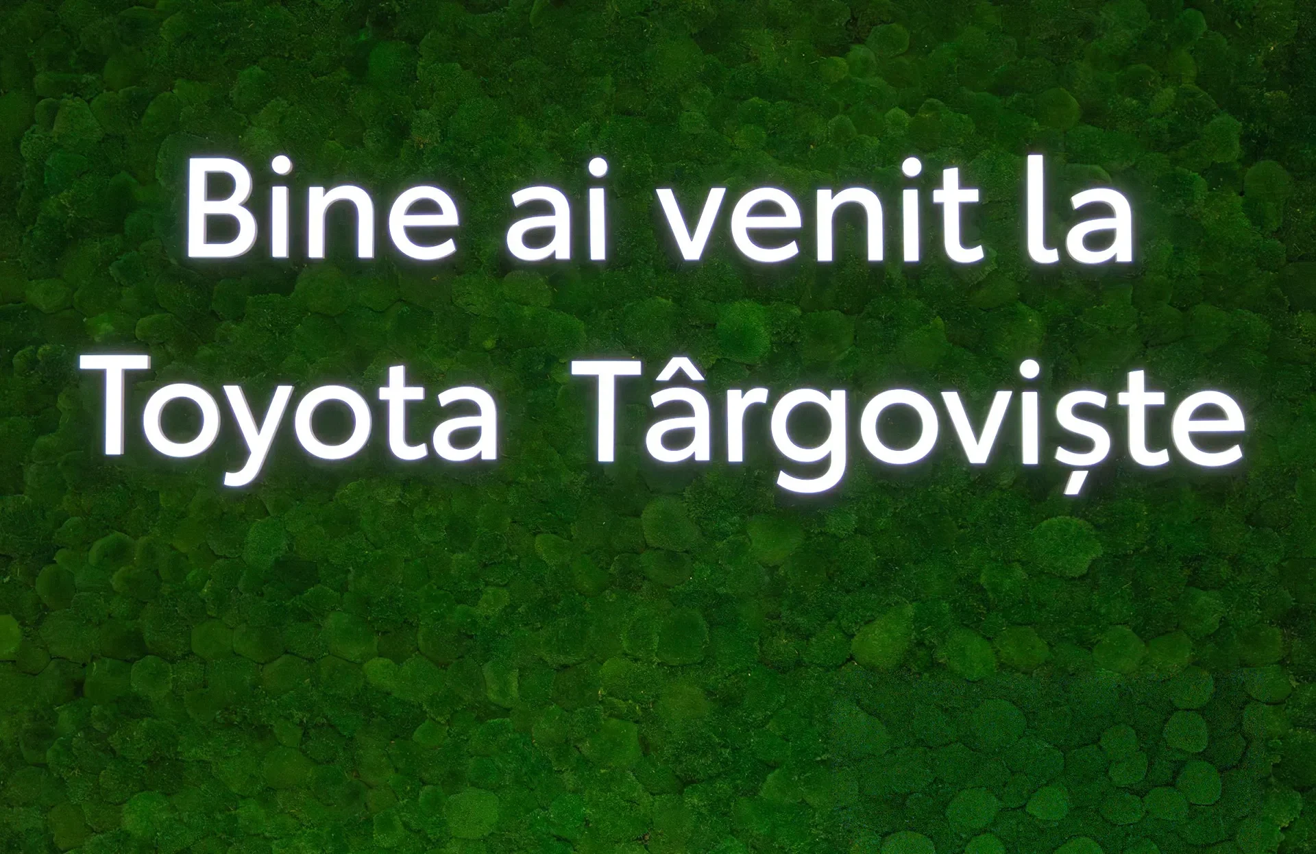 interior showroom toyota targoviste 4